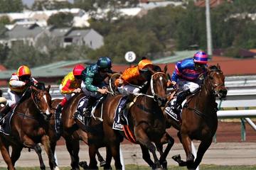 Sydney Harbour Melbourne Cup Cruise