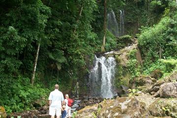 Waterfall and Hot Springs Mud Bath Tour in Rincon de la Vieja