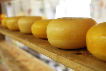 Amsterdam Private Food Walking Tour with Tastings