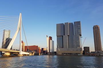 Private Day Trip From Amsterdam to Rotterdam and Kinderdijk