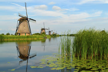 Private Day Trip from Amsterdam to Rotterdam and the Hague