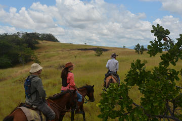 7-Day Guyana Wild Ranch Adventure from Lethem