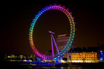 Blue Badge Guided City Tour of London With Minivan
