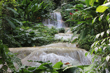 Ocho Rios Sightseeing Garden Tour