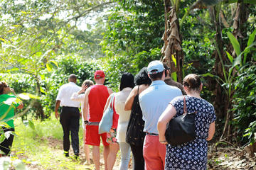 Taste of Jamaica Authentic Beach Cookout Tour