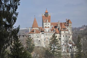 Bran Castle and Rasnov Fortress Tour from Brasov with Entrance Fees Included - Optional Peles Castle Visit