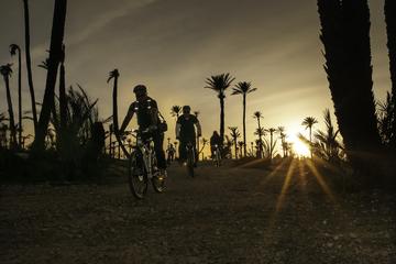 The Palmery Off-Road Bike Tour from Marrakech