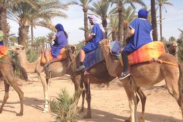 Marrakech Half-Day Camel Ride in Palm Grove