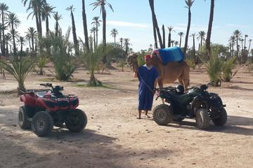 Marrakech Quad Biking and Camel Riding Tour