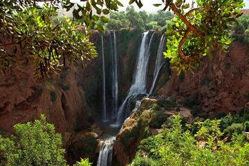 Ouzoud Waterfalls Full Day Tour from Marrakech