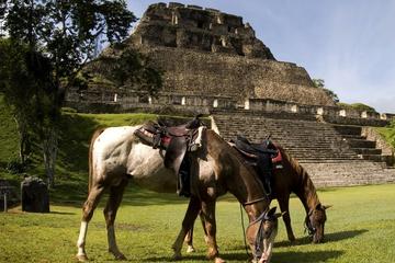 Horseback Riding Tour to Xunantunich