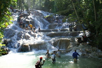Shore Excursion: Private Ocho Rios Sightseeing Tour from Falmouth