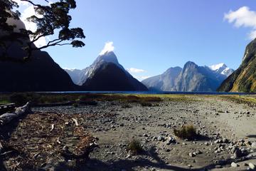 Milford Sound Helicopter Flight with Glacier Landing from Queenstown