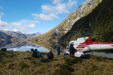 Private Charter: Fiordland Ultimate Helicopter Tour