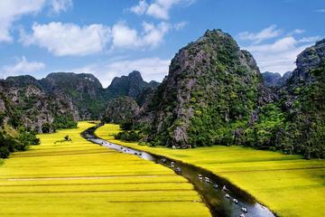 Hoa Lu and Tam Coc Caves Full-Day Private Tour from Hanoi with Boat Ride