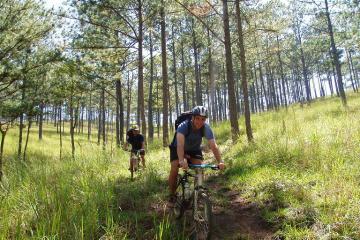 4-Day Dalat Mountain Bike Tour