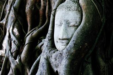 Exploring Historic Ayutthaya by Bike