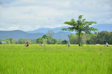 Lanna Countryside by Bike