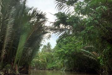 Mekong Delta Ben Tre 1 day tour