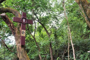 Hong Kong Small-Group Hiking Tour: from Modern City to Ancient Village