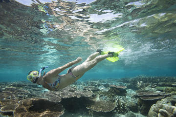 Snorkeling Package at Padangbai with Lunch