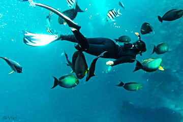 Snorkeling Package at Tulamben USAT Liberty Shipwreck