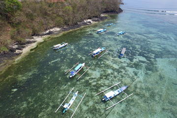 Try Scuba Diving with BALI DIVING at Padang Bai