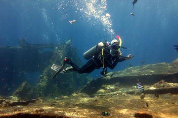 Try Scuba Diving with BALI DIVING at TULAMBEN