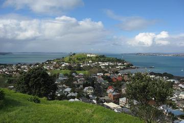 Auckland Shore Excursion: Small-Group Auckland Highlights Afternoon Tour