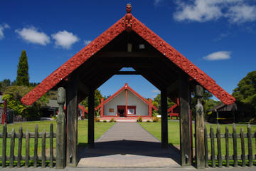 Full-Day Rotorua Shore Excursion Including Te Puia and Hells Gate Thermal Beds