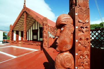 Shore Excursion: Rotorua City Hop-On Hop-Off Tour from Tauranga