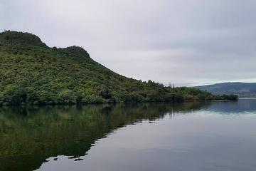 Shore Excursion: Te Puia, Jet Boat and Mokoia Island from Tauranga