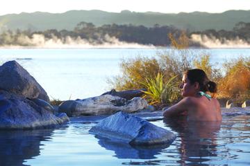 Tauranga Shore Excursion: Rotorua, Te Puia, and Polynesian Spa Tour