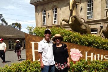 Ba Na hills daily tour from Da Nang city center