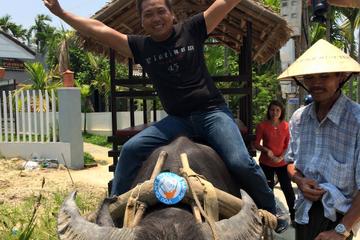 Countryside Water Buffalo Cart Ride of Cam Thanh Village