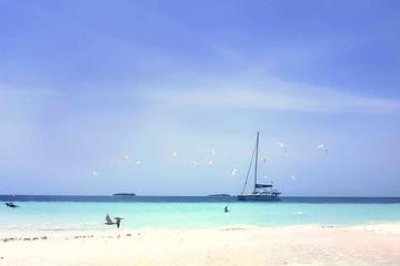 Sandbank Snorkeling and Sunset Cruise