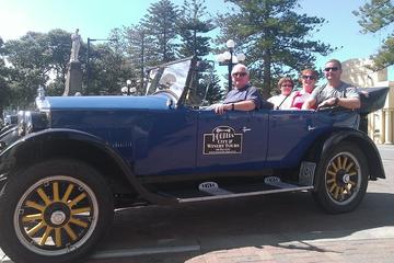 Private Shore Excursion: Napier Highlights in a Vintage Car