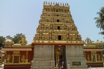 Mangalore Shore Excursions Tour
