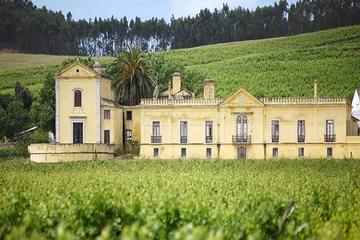 Private Quinta do Gradil Winery Tour from Lisbon