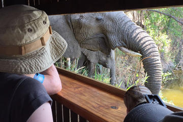 3-Day Tour of Kruger National Park from Skukuza Airport