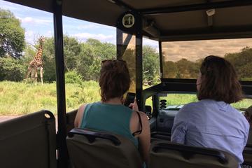 Small-group Morning Safari in Kruger Park from Hazyview