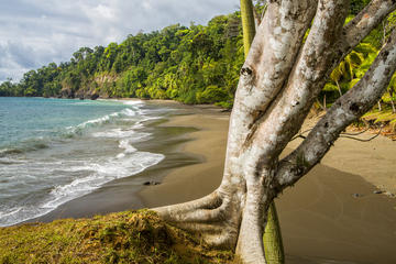 8-Day Costa Rica Natural Wonders Adventure Hike