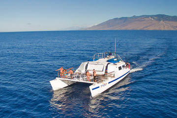 Maui Snorkeling Tour to Coral Gardens or Molokini Crater with Optional Lunch