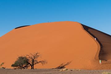 3-Day Sossusvlei Express from Swakopmund