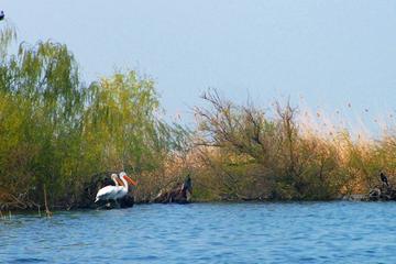 4-Day Danube Delta Tour: Stay At the Fisherman's house