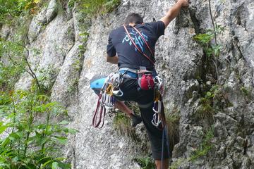 From Sibiu: Private Hiking Tour in the Carpathian Mountains