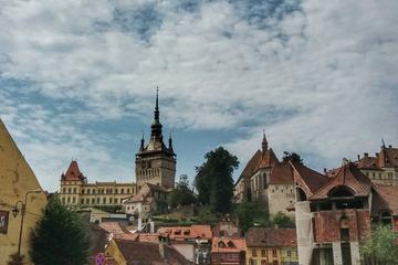 Sighisoara Bus