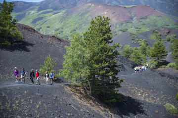 Small-group North Etna Tour by 4x4 Jeep
