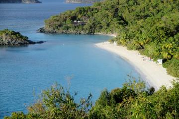 Half-Day Tour to Trunk Bay Beach from St. Thomas