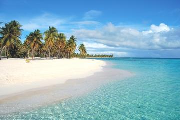 Punta Cana Island Tour- Beach and Local Lunch